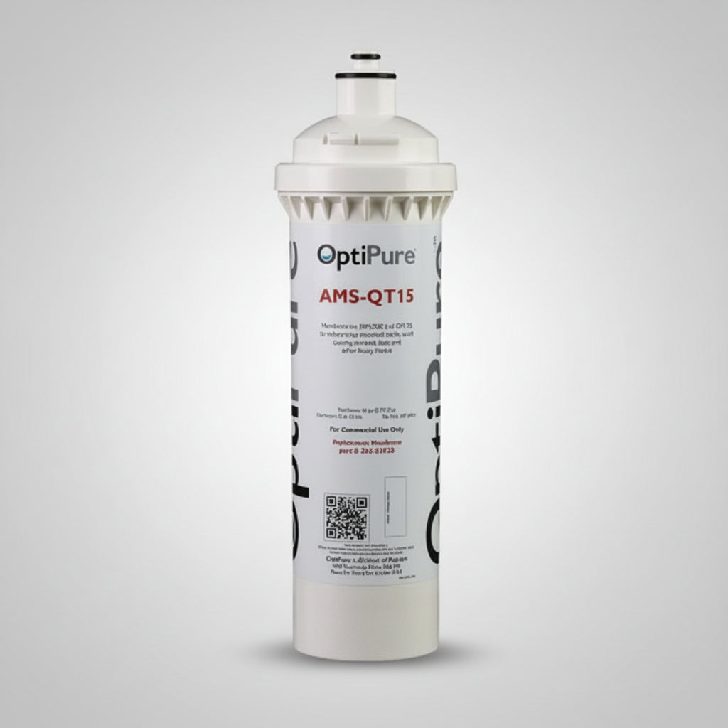 Pentair AMS-QT Replacement Cartridge