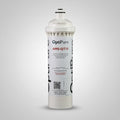 Pentair AMS-QT Replacement Cartridge