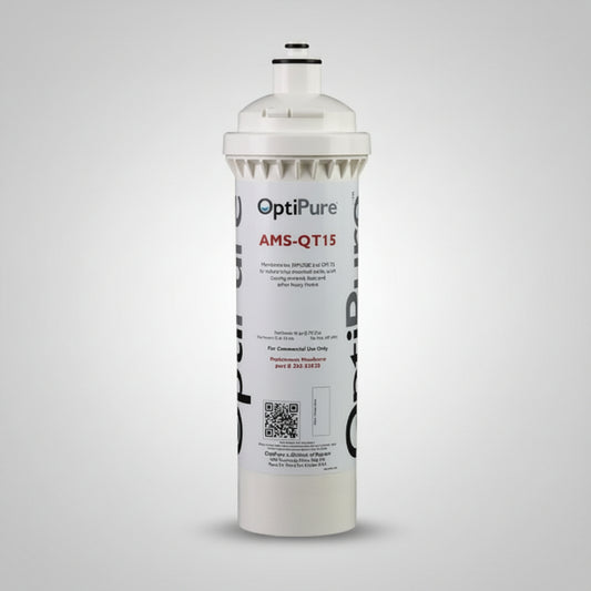 Pentair AMS-QT Replacement Cartridge