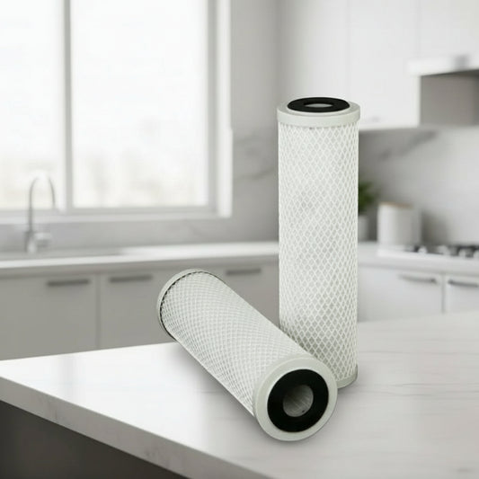 Pentair CTO-10 Replacement Cartridge