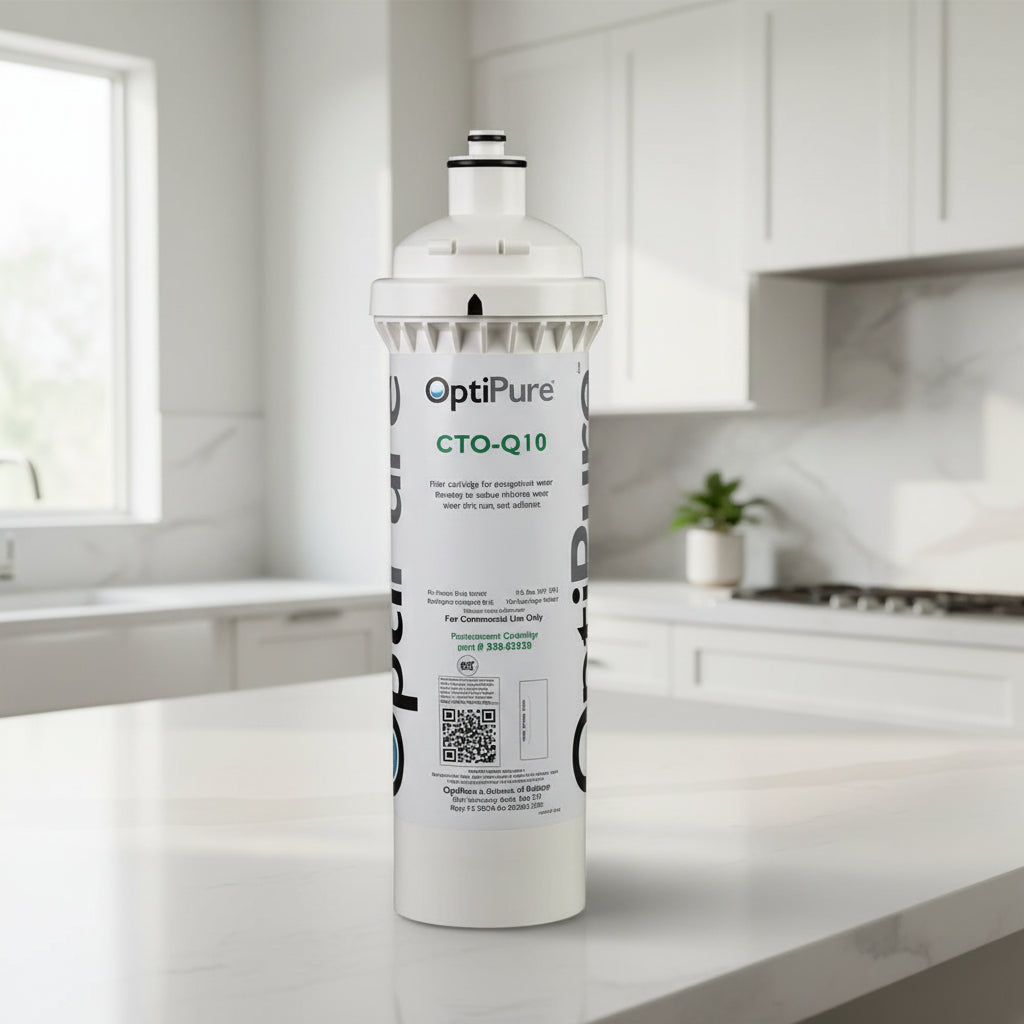 Pentair CTO-Q10 Filter Cartridge