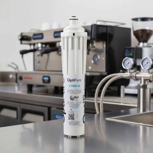 Pentair CTOS-Q10 Replacement Cartridge