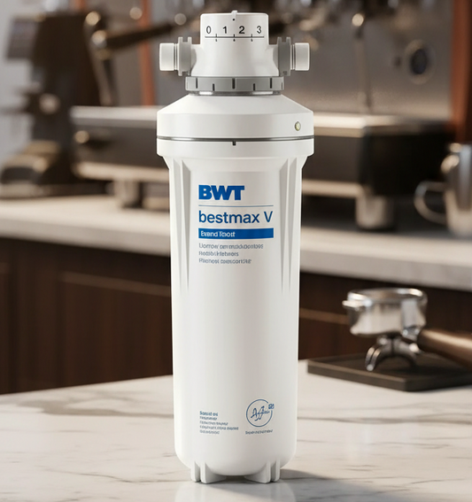 BWT Filter on Marble Counter