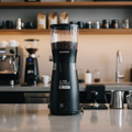 Back view in coffee bar