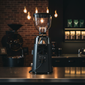 Mazzer Robur S back view in coffee roastery