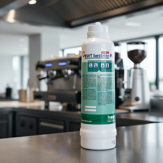 BWT Filter in Restaurant Kitchen